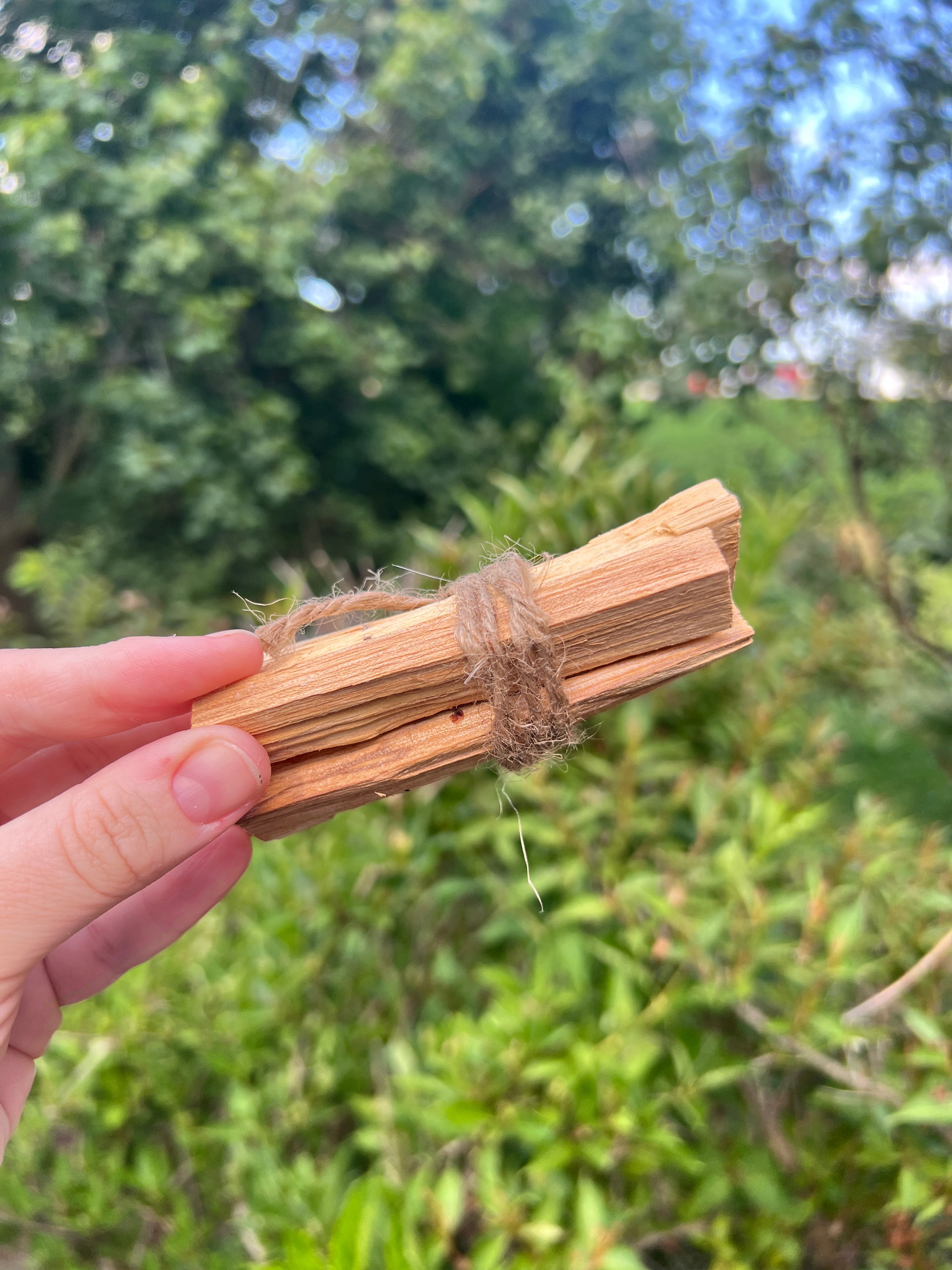 Palo Santo Sticks Bundle