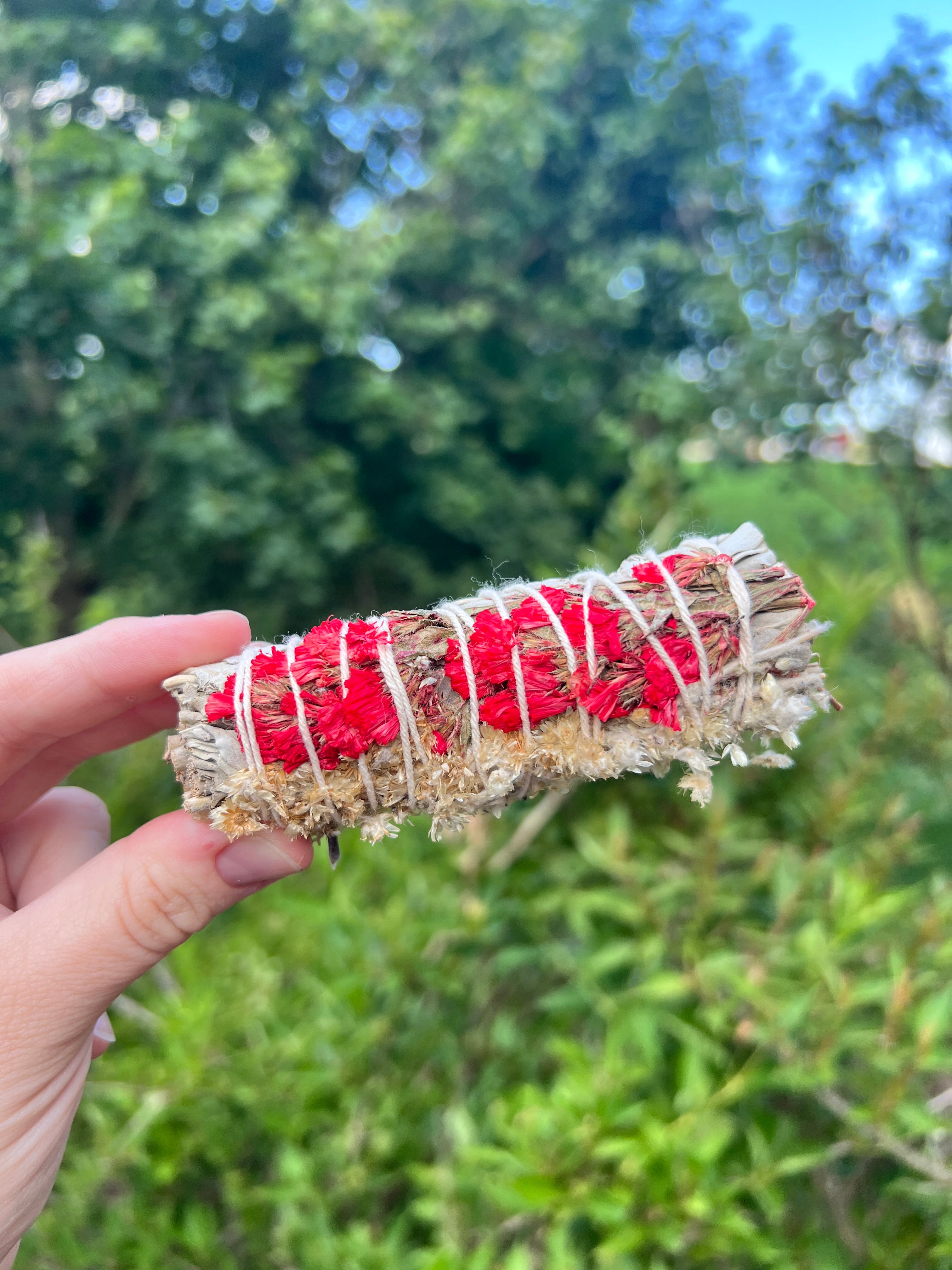 White Sage, Panacium & Red Satice Smoke Cleansing Bundle