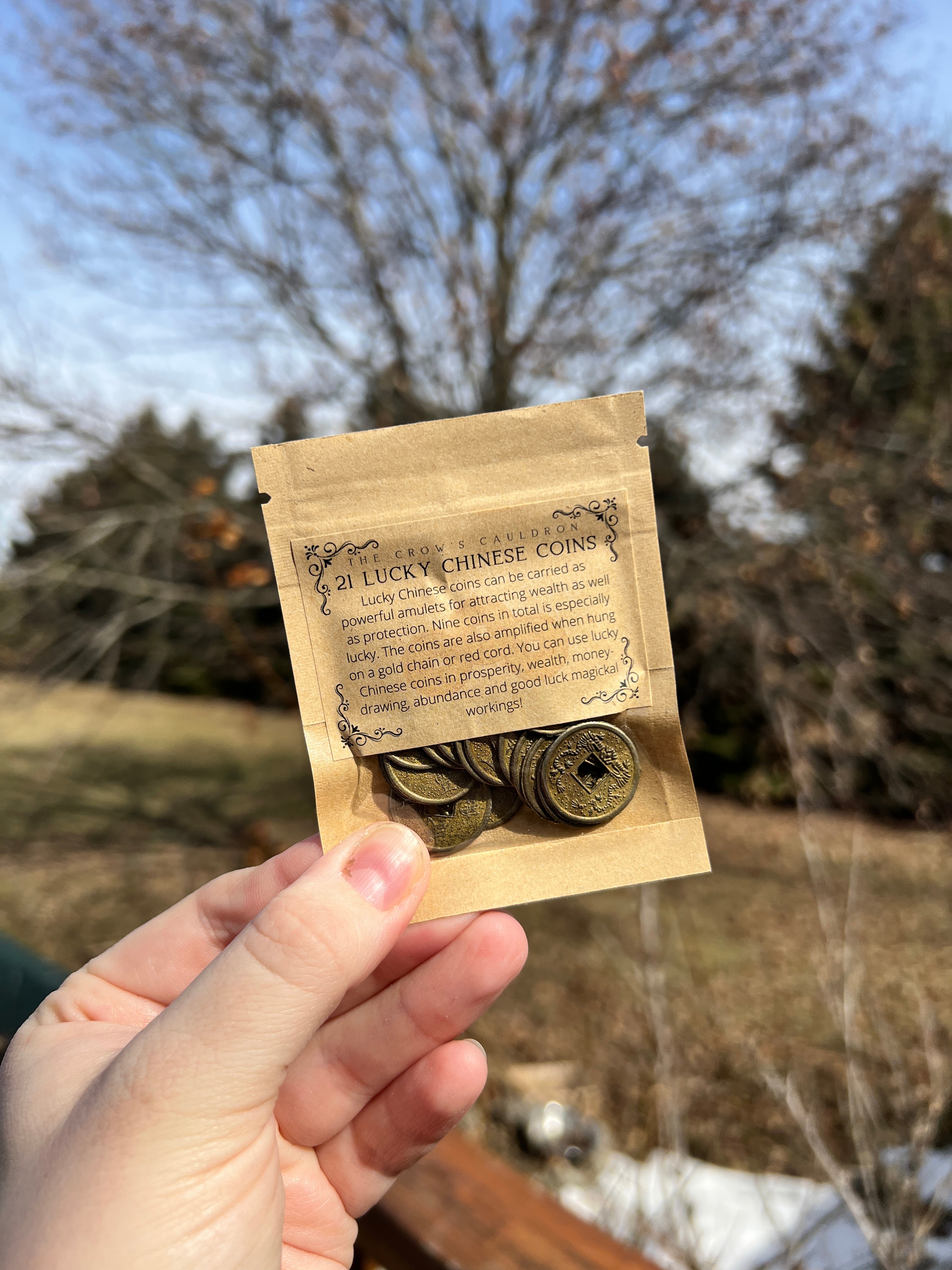 Lucky Chinese Coins (21)