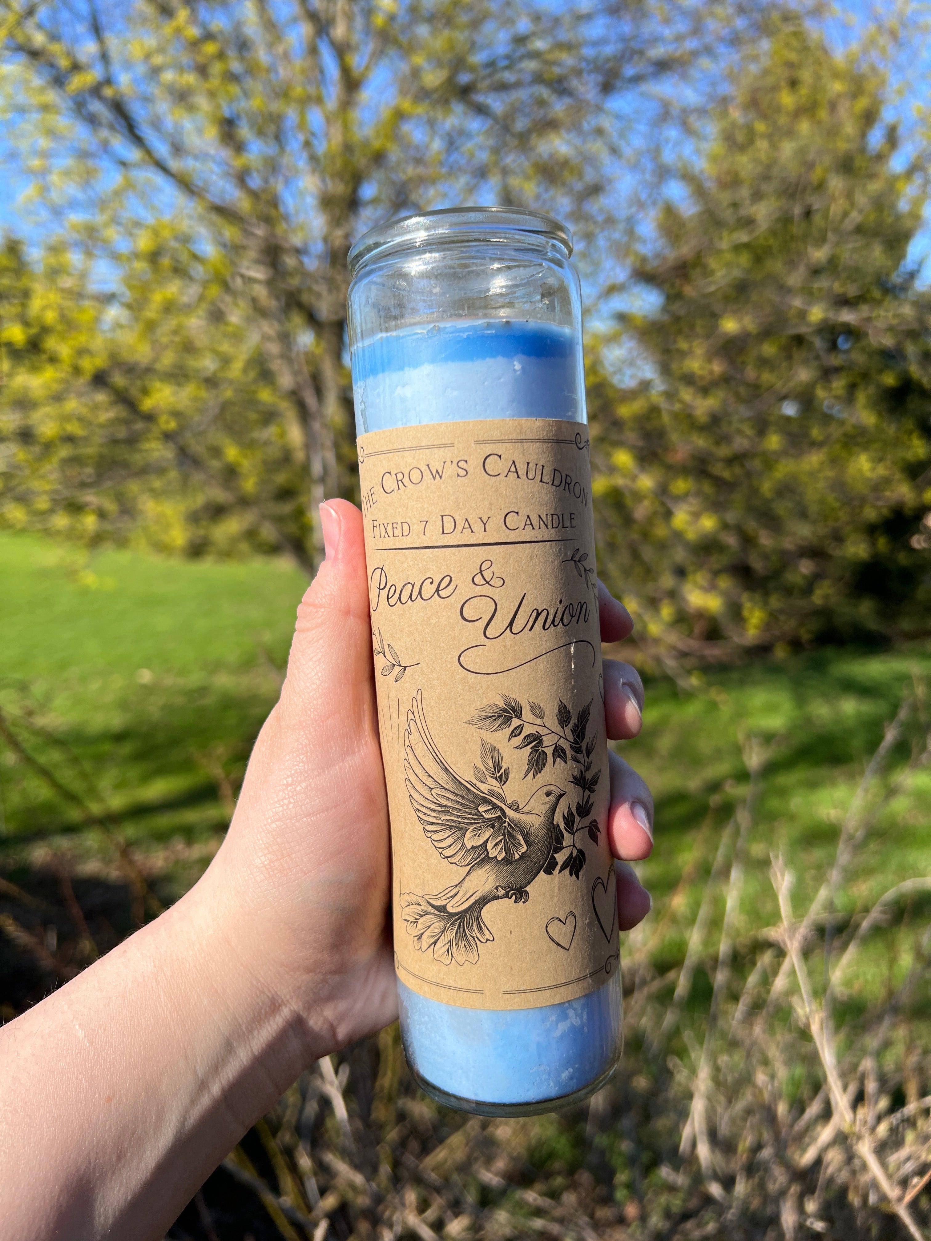 7 Day Fixed Spell Candles