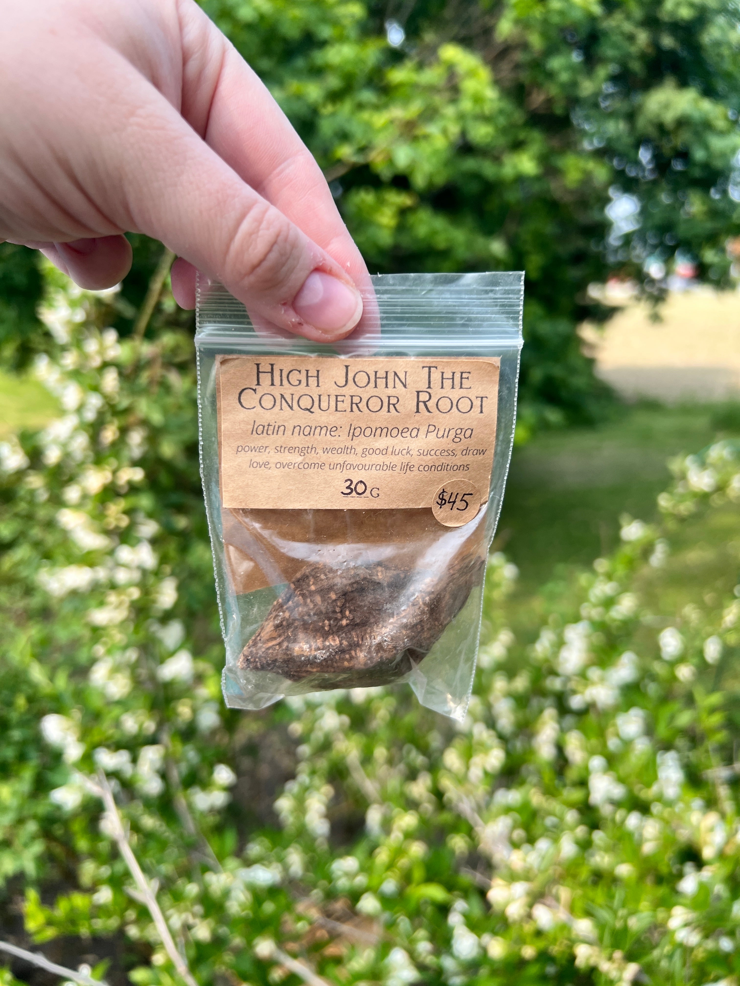 High John the Conqueror Root